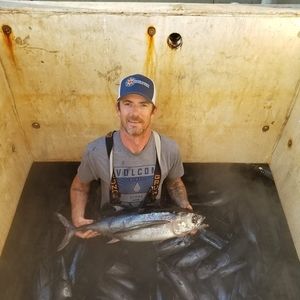 Meet your Posher, Mike